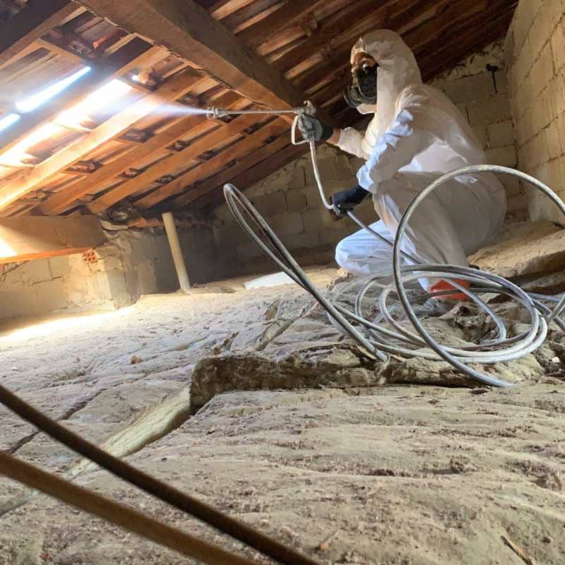 Technicien BDX Termites traitant la charpente de combles par pulvérisation